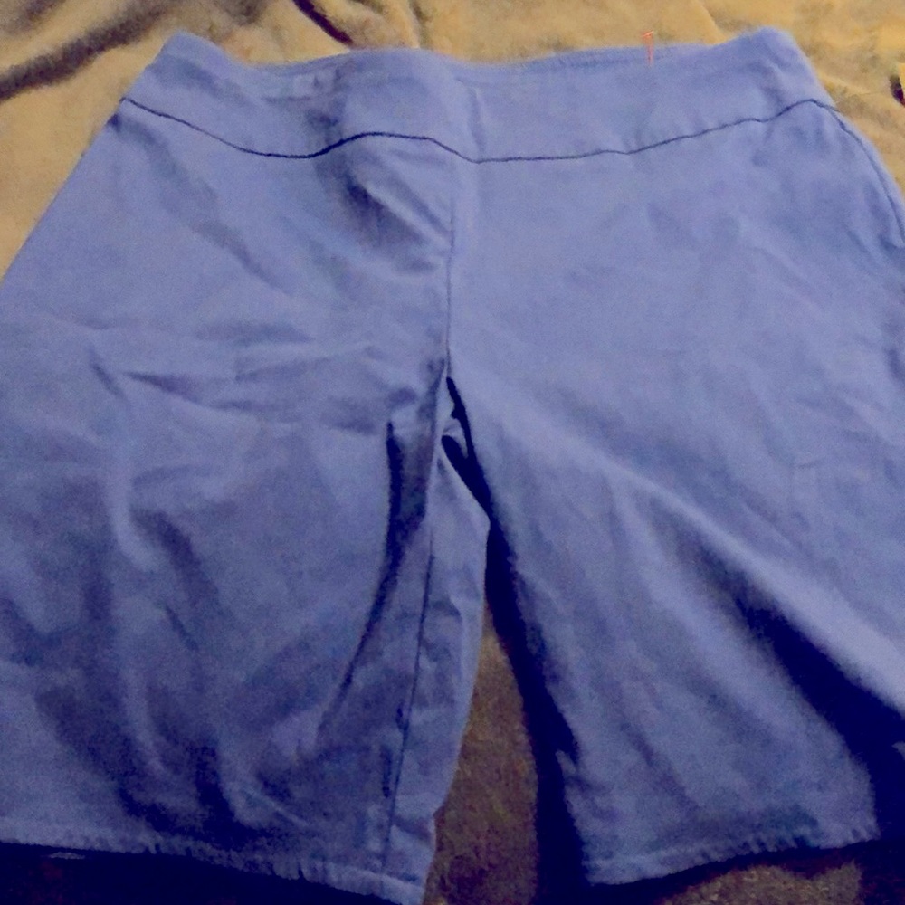 NWT Blue Bermuda shorts, Sz 14 Counterparts